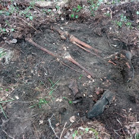 Останки советского солдата на месте раскопок